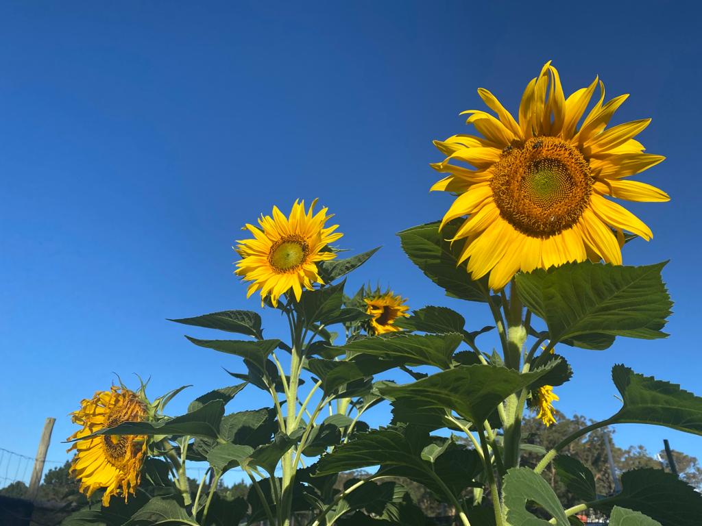 Newsletter – March 2022